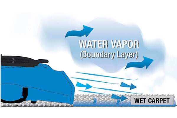 White and blue image with a graphic blue dri-eaz products showing water vapor direction. 