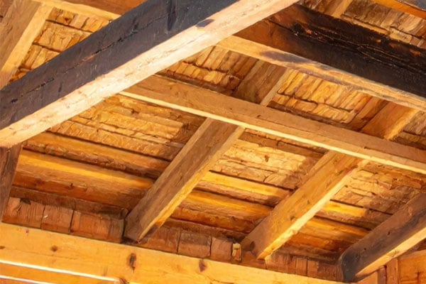 Orange/yellow Wood ceiling 