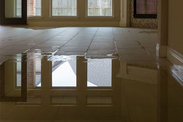 Water in half of the floor with a reflection of the windows in the room. Floor is about to be dried. 