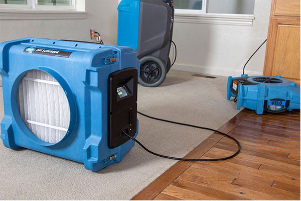 Legend brands dehumidifiers in a room with beige carpet and wood laminate floor