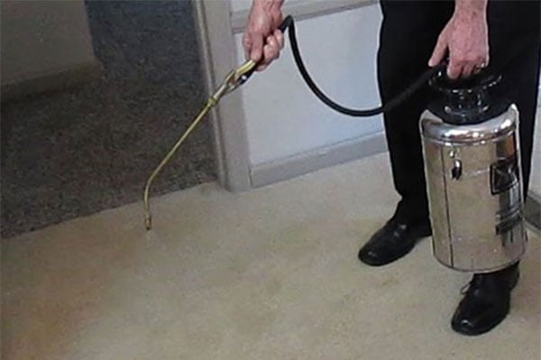 bottom half of a person in black clothes and black shoes with a spraying wand spraying liquid on a carpet. 