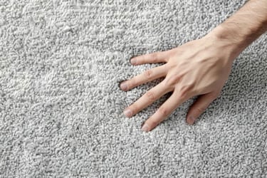 Hand touching lush clean beige carpet. 