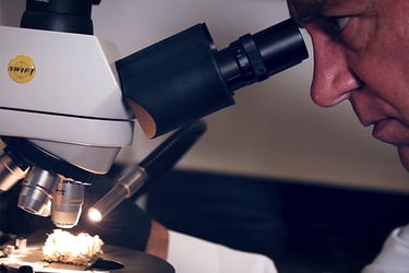 Someone looking into a microscope. 